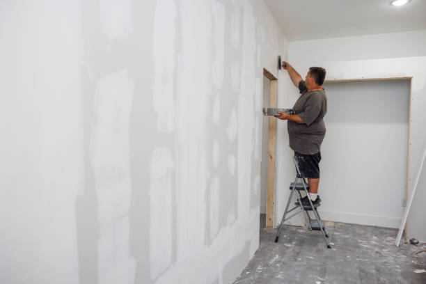 Mold Odor Removal Services in Garland, NC